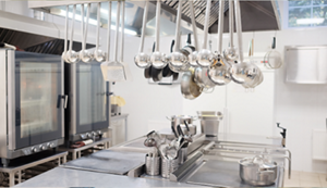 Business introduction